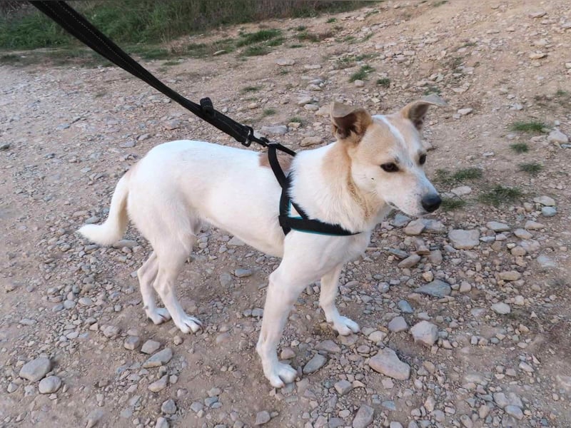 JOY - hofft auf tolle Menschen