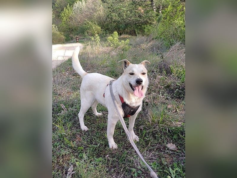 JOY - hofft auf tolle Menschen