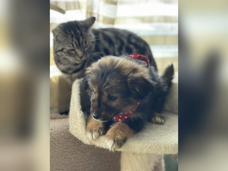 PENNY - kleine Zuckermaus