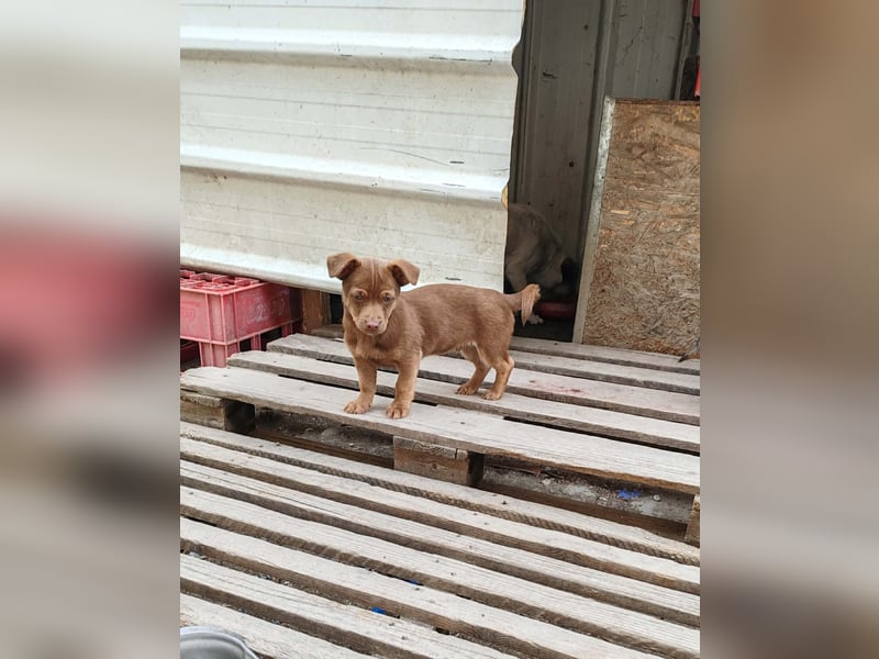 LEVON - darf er mit dir die Welt entdecken?