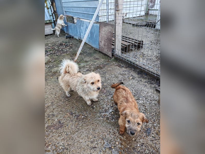 EDAN - ist bereit für sein Abenteuer