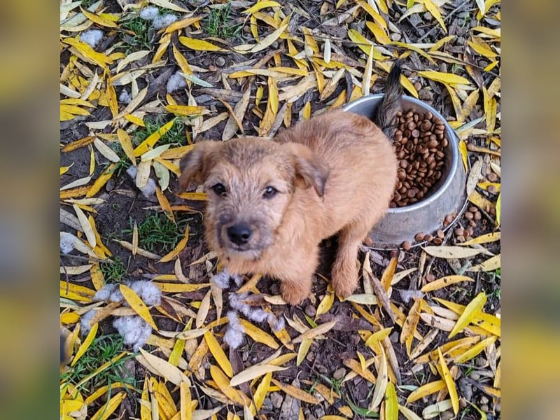 EDAN - ist bereit für sein Abenteuer