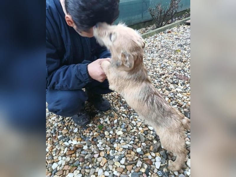 KARMA - kleines fröhliches Mädchen *reserviert*