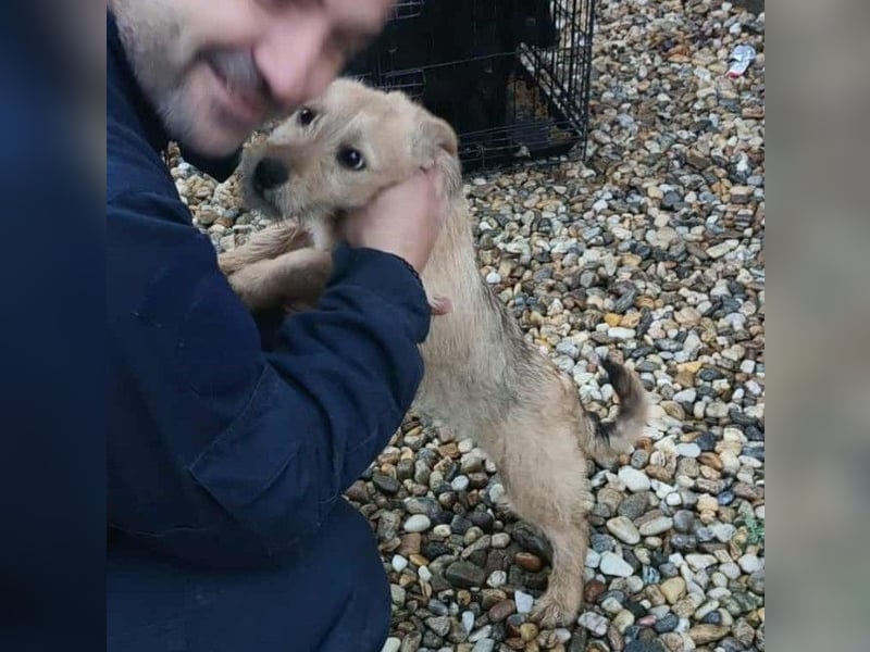 KARMA - kleines fröhliches Mädchen *reserviert*