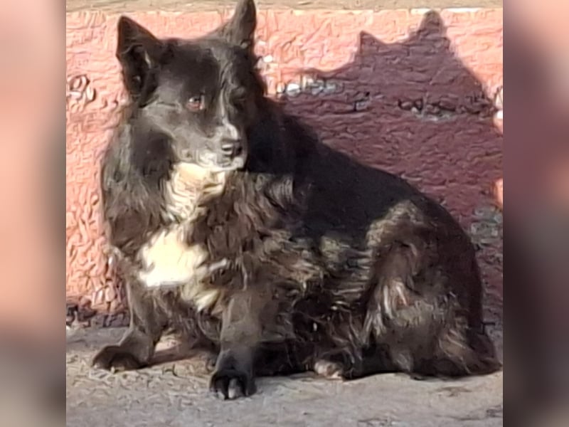 Gorky