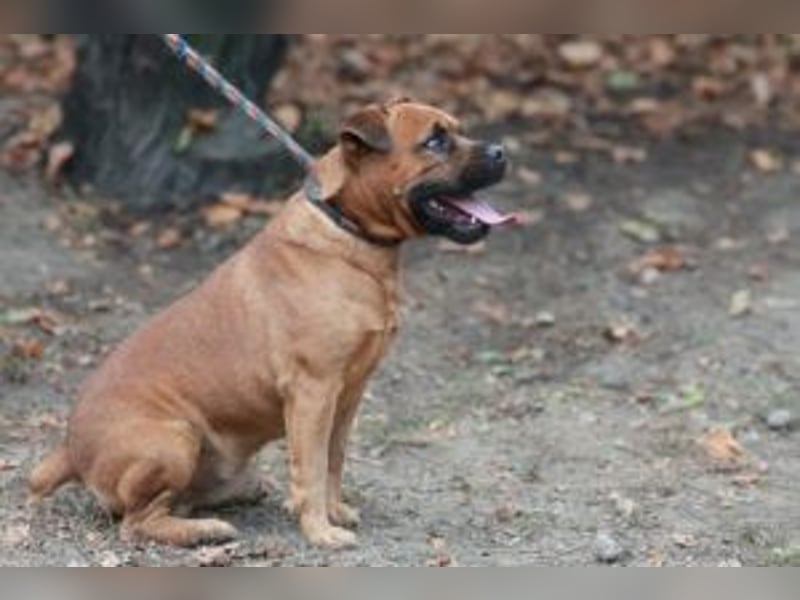 Fritzi, neu angekommen