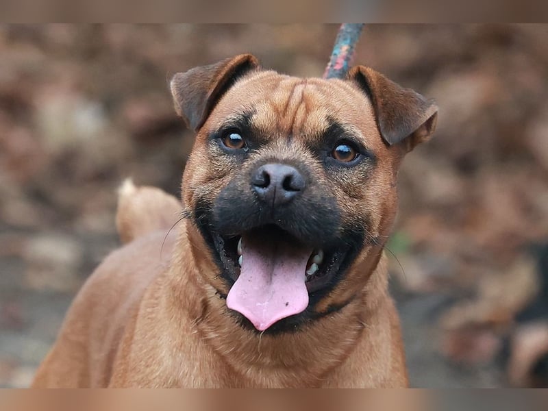 Fritzi, neu angekommen