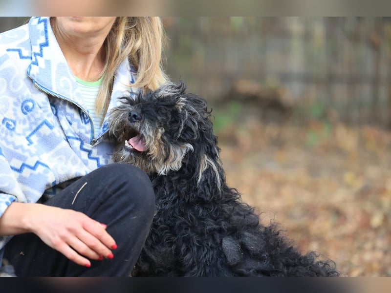 Angsthündin Happy sucht Ihren Lieblingsmenschen