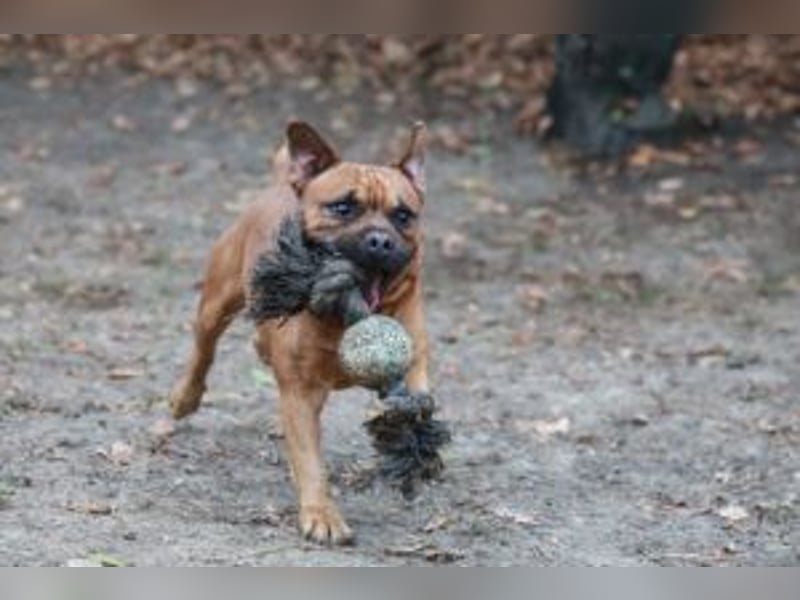 Fritzi, neu angekommen