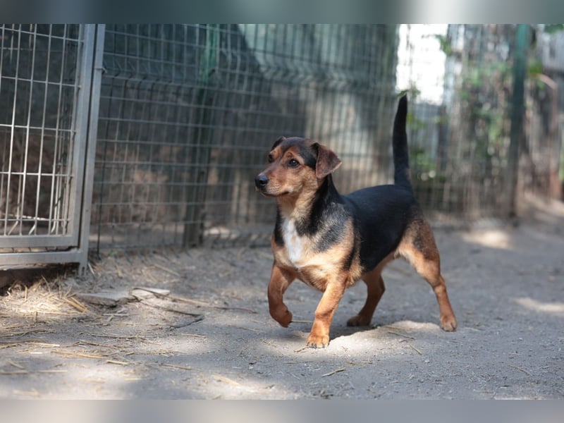 Janosh auf dem Weg ins Glück