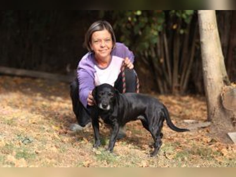 Kristina - Freundlicher Jagdhundmix sucht ein aktives Zuhause