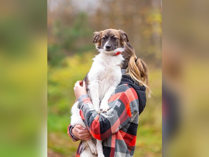 Wunderbare Miya sucht ihre Menschen