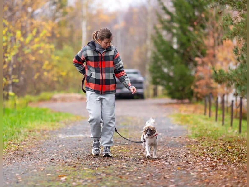 Wunderbare Miya sucht ihre Menschen