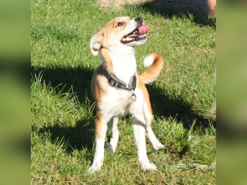 Tini - Herzensfamilie gesucht