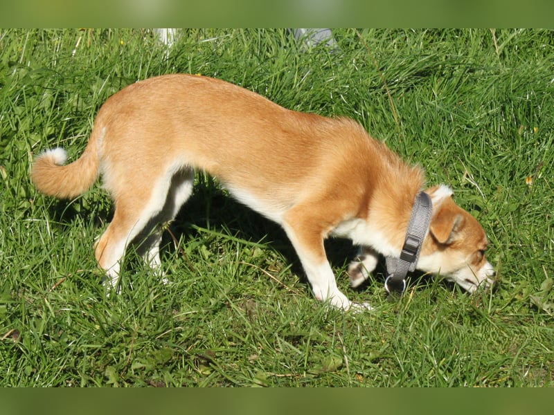 Tini - Herzensfamilie gesucht