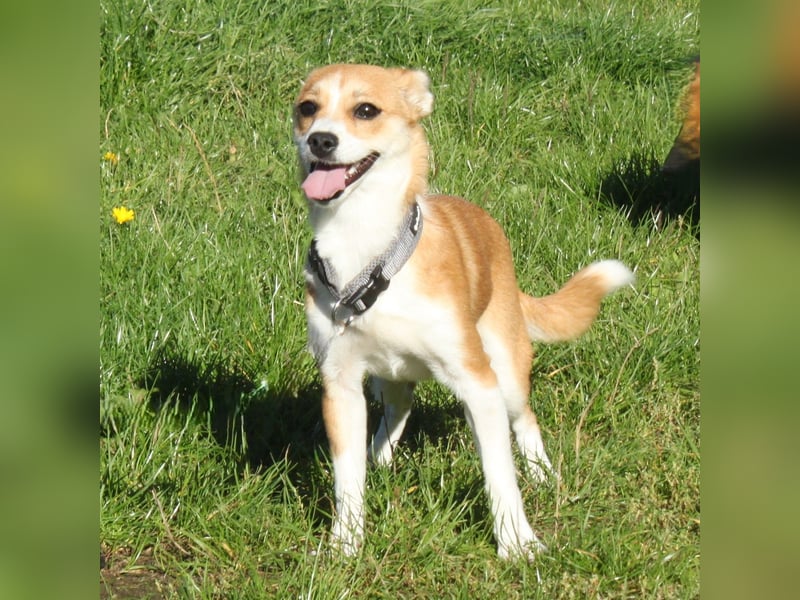 Tini - Herzensfamilie gesucht