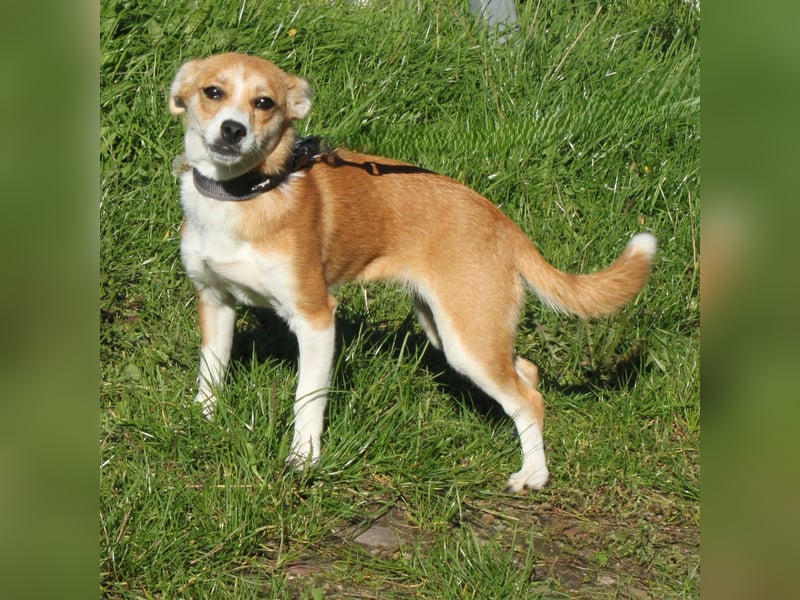 Tini - Herzensfamilie gesucht