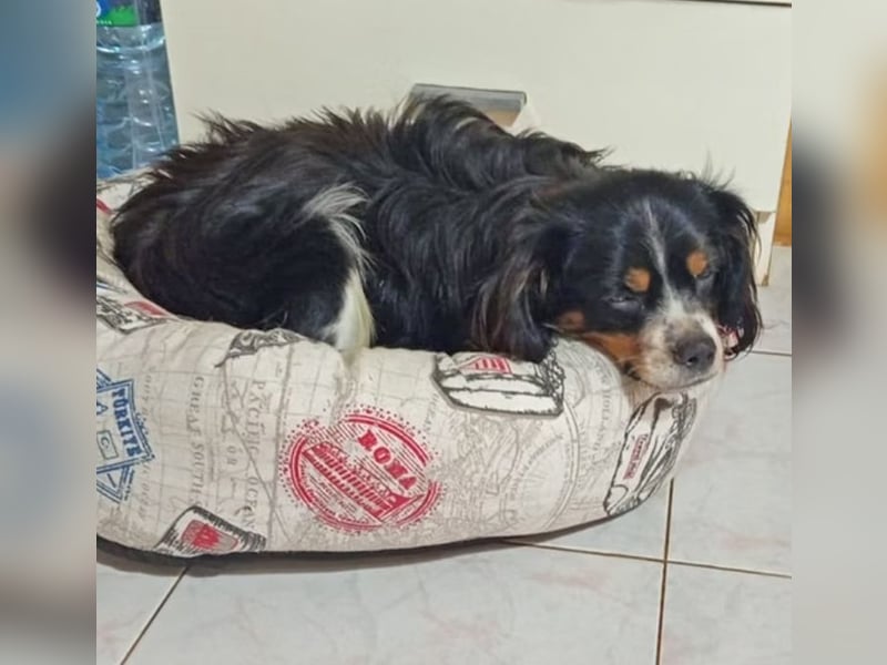 Isidoro, sucht aktive Menschen
