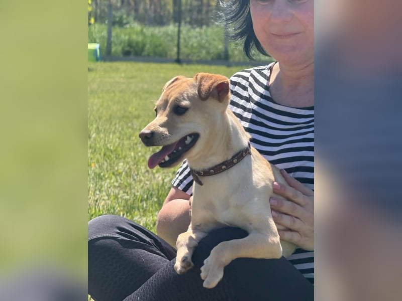 Goldschatz Emilia sucht ihre Menschen
