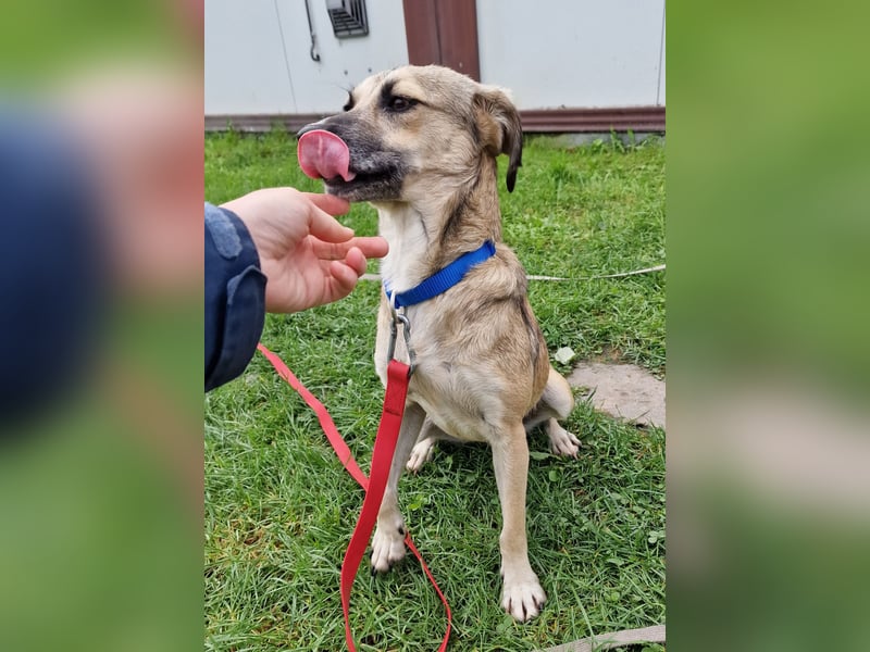 Caya - neugierig und verträglich - BEREITS IN DEUTSCHLAND