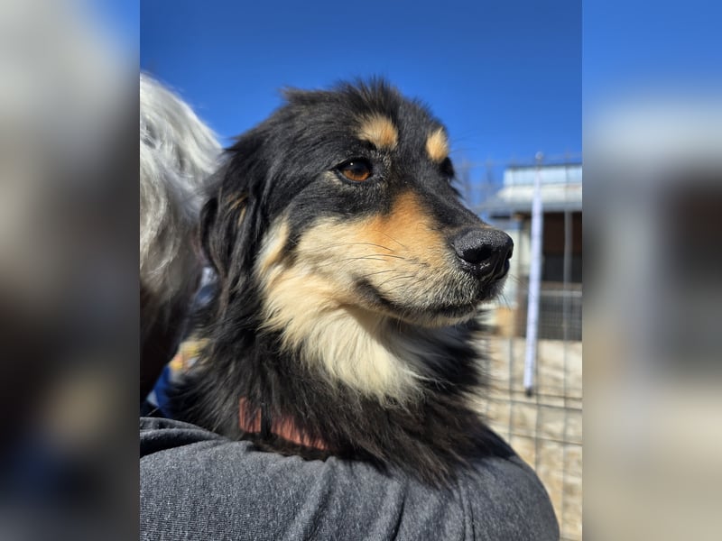 Lio - vorsichtig und neugierig