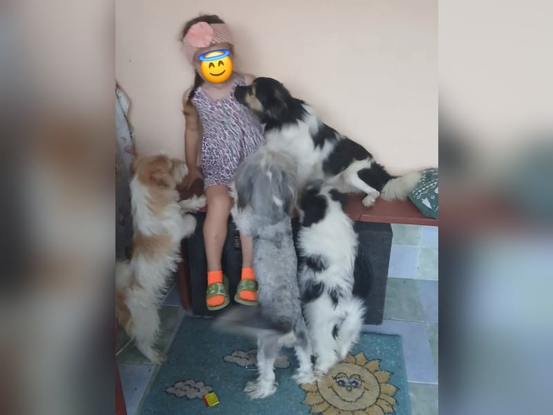 Ayoub - verschmust und kinderlieb