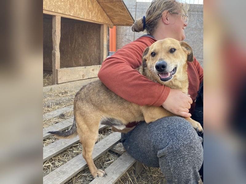 Mirko - zutraulich und verschmust, Kuschelbär