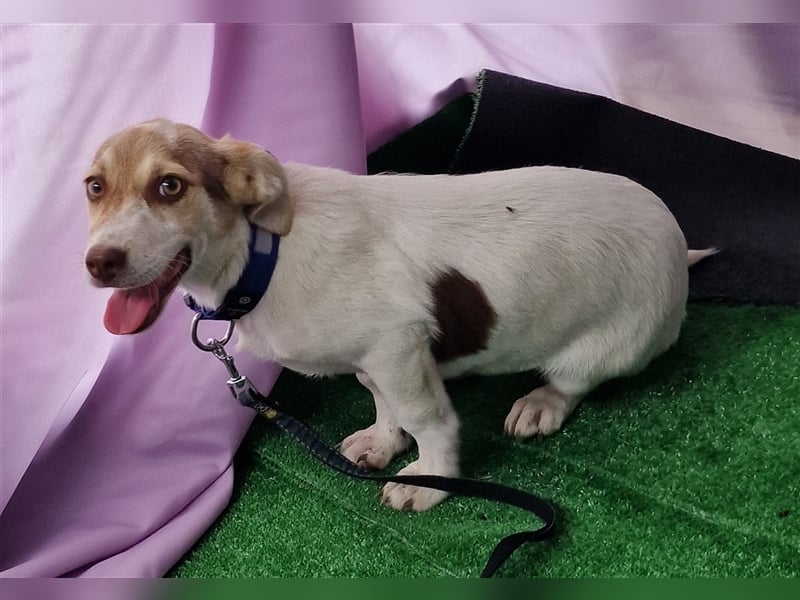 Katy - vorsichtig und verschmust