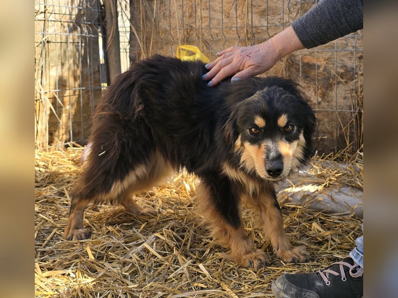 Lio - vorsichtig und neugierig