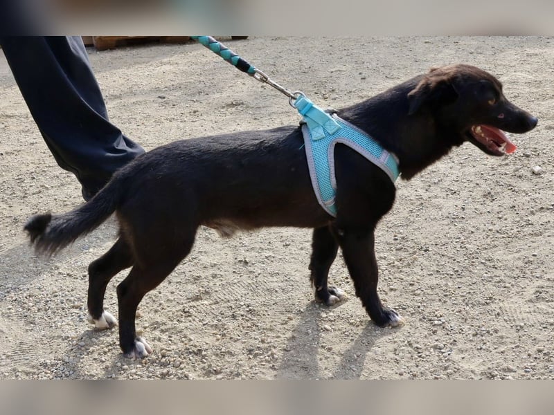 Arthur, neugierig, offen und freundlich