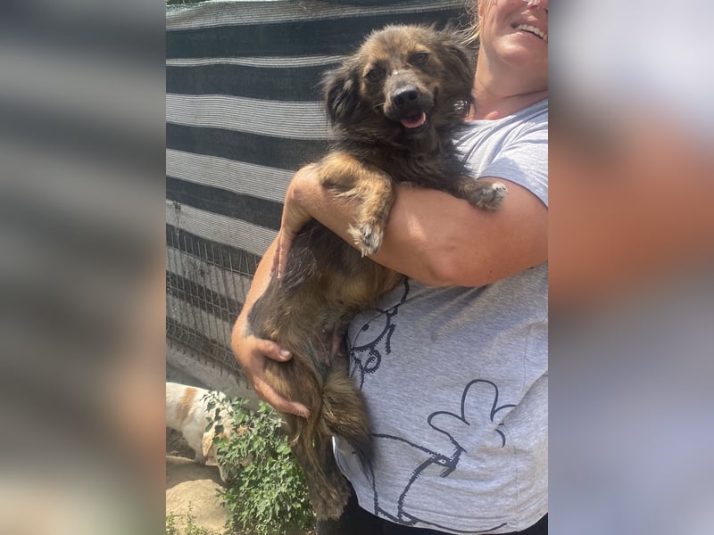 Jona - sanft und neugierig