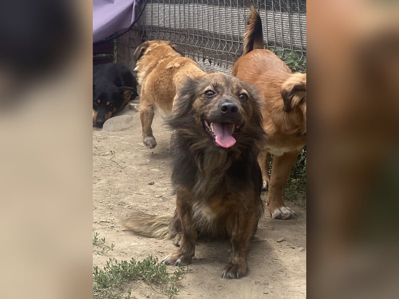 Jona - sanft und neugierig