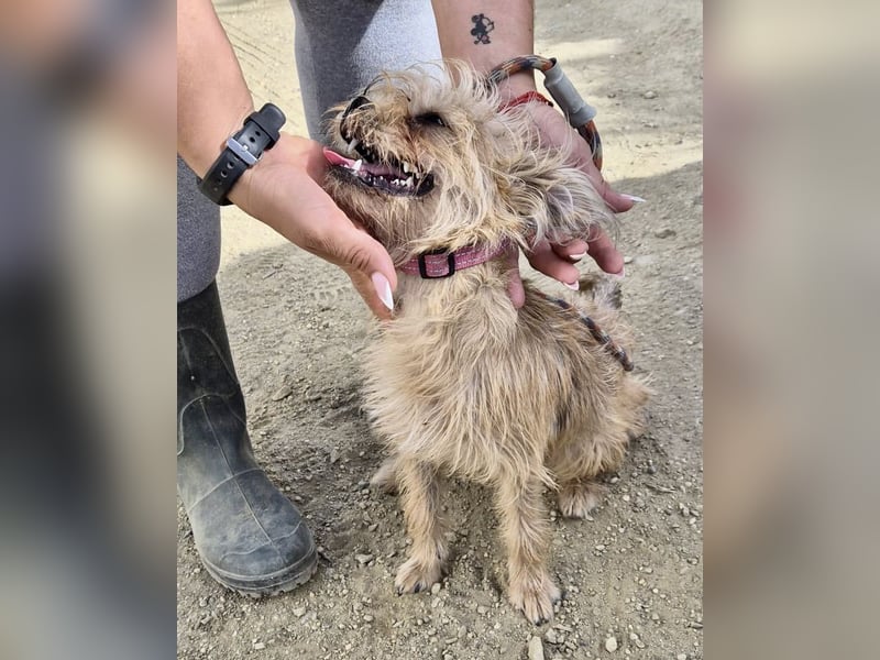 Lupita, neugierig. verspielt, offen, freundlich