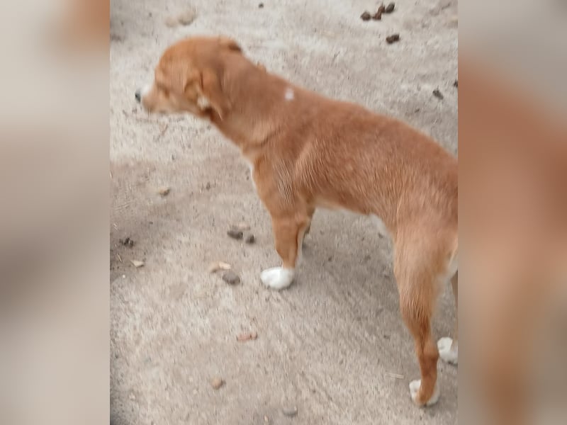Boomer - neugierig und interessiert