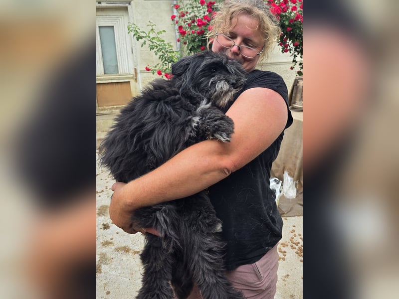 Chewbacca - verschmust und freundlich