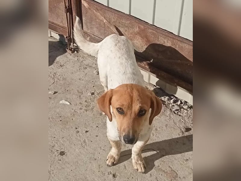 Vanja - neugierig und interessiert