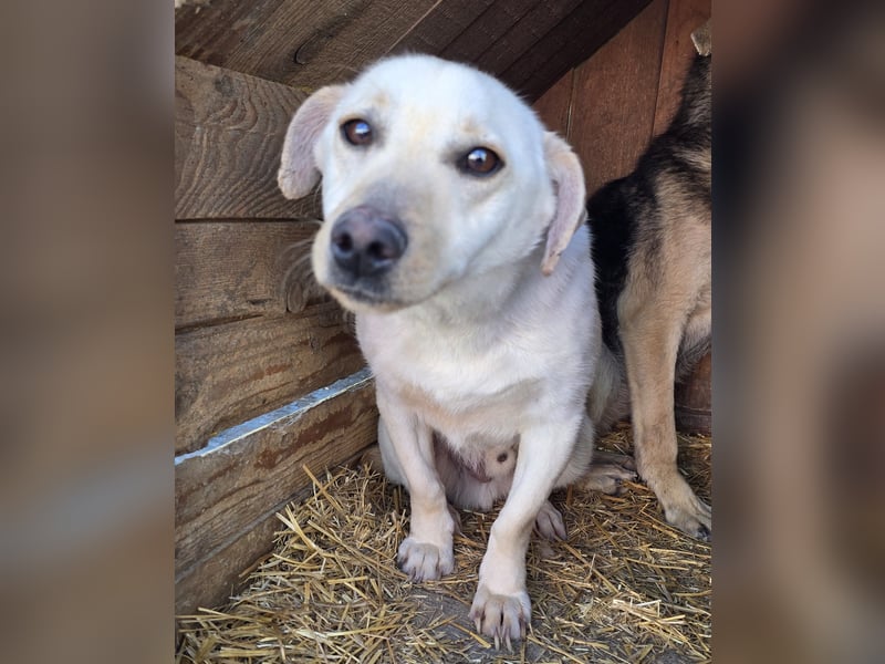 Robin - freundlich und lernwillig