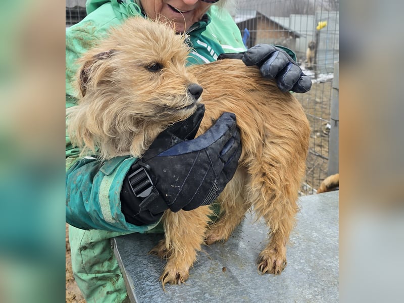 Betty - freundlich und neugierig