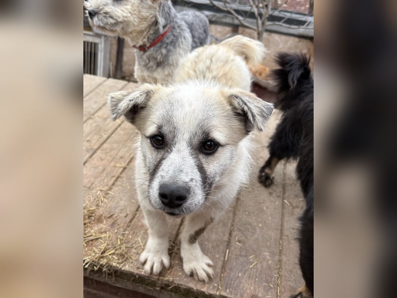 Jubata - freundlich und verschmust