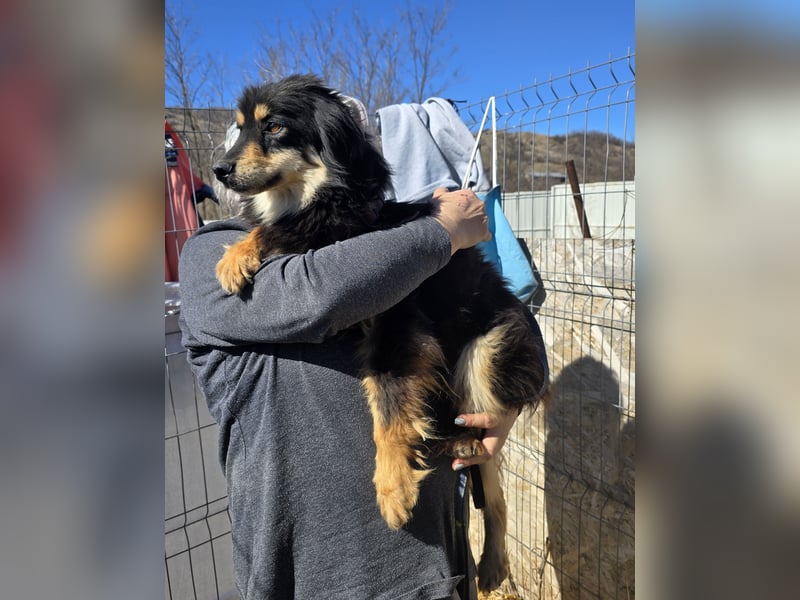 Lio - vorsichtig und neugierig