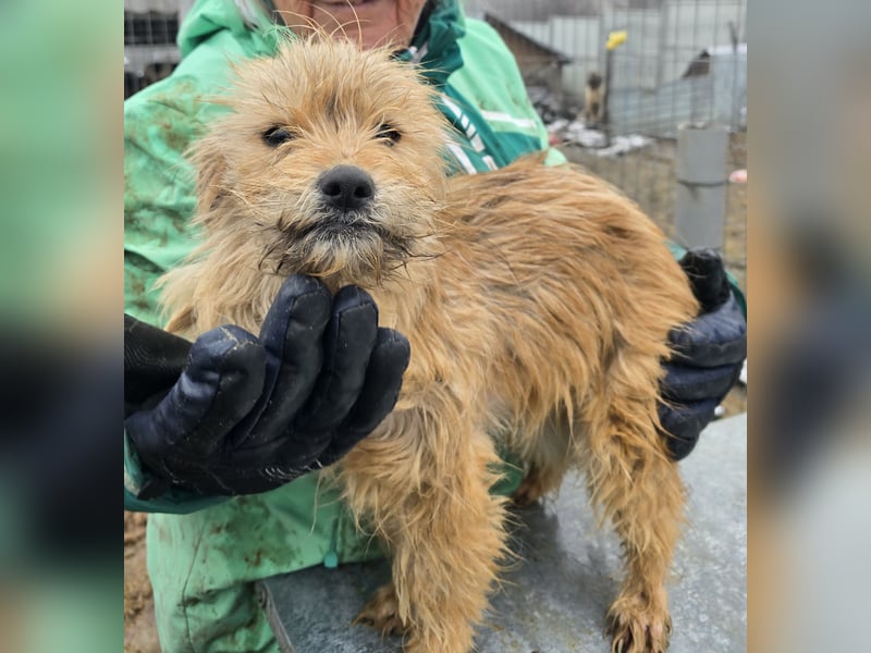 Betty - freundlich und neugierig