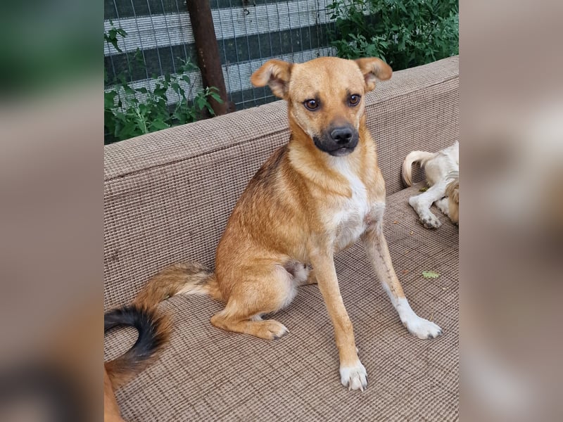 Magnus - aufgeschlossen und freundlich