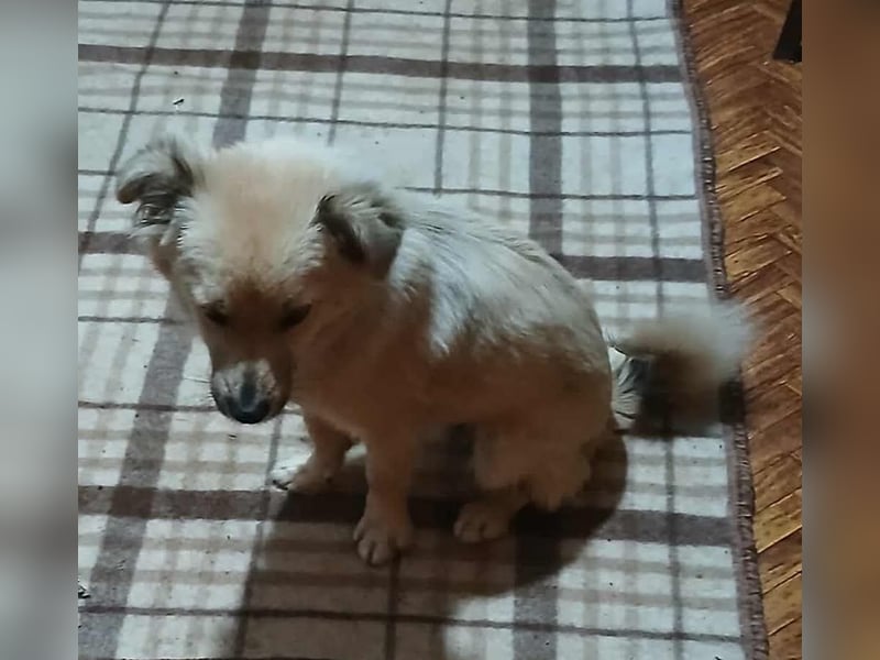 Jana -jung und neugierig