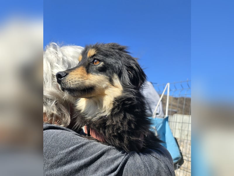 Lio - vorsichtig und neugierig