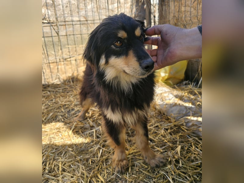 Lio - vorsichtig und neugierig