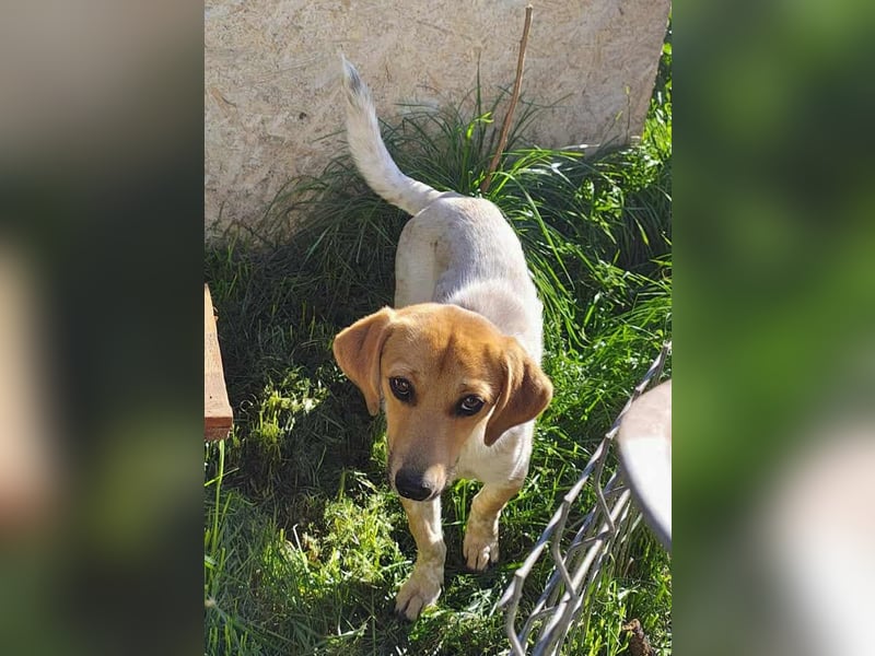 Vanja - neugierig und interessiert