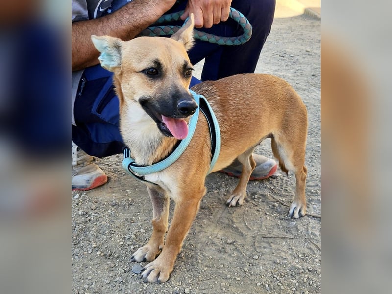 Margarita, aufmerksam, lernwillig und neugierig