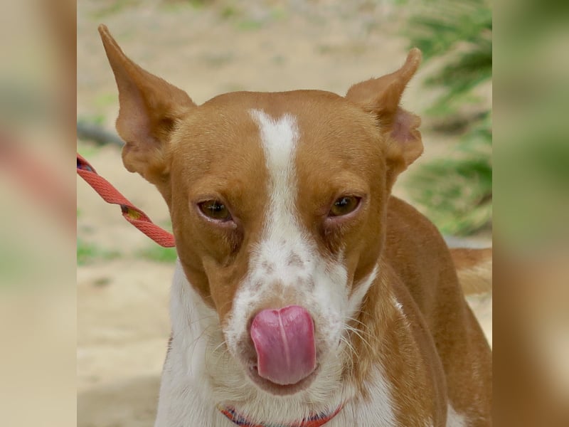 Genaro, bewegungsfreudig, lernwillig, respektvoll