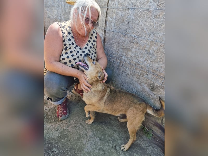 Mirko - zutraulich und verschmust, Kuschelbär