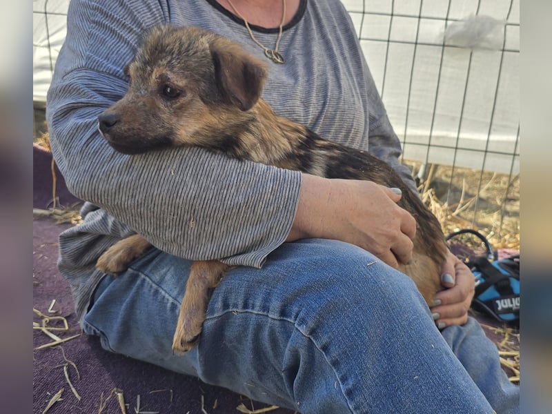 Anne - jung und neugierig